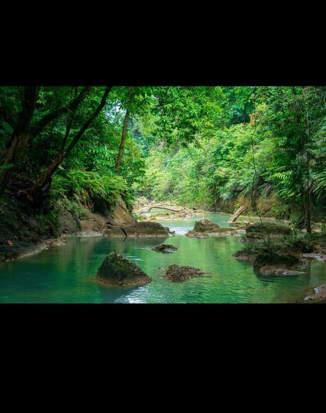 Bohol: Hidden Waterfall Hopping and Jungle Trek Adventure - The first fall is a warm-up, not the main event
