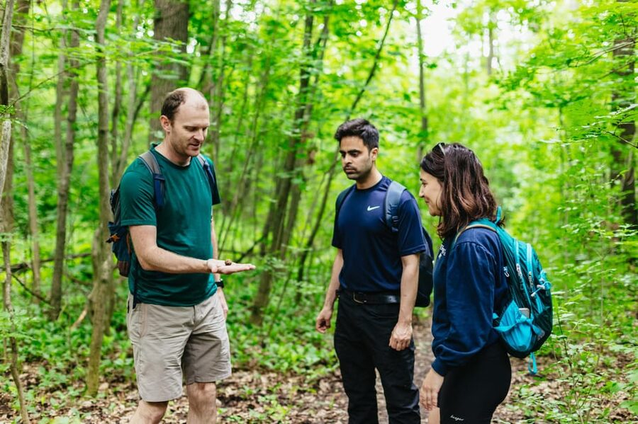 Budapest: Buda Hills Guided Hiking Tour with Optional Lunch - Walking through Normafa’s woods