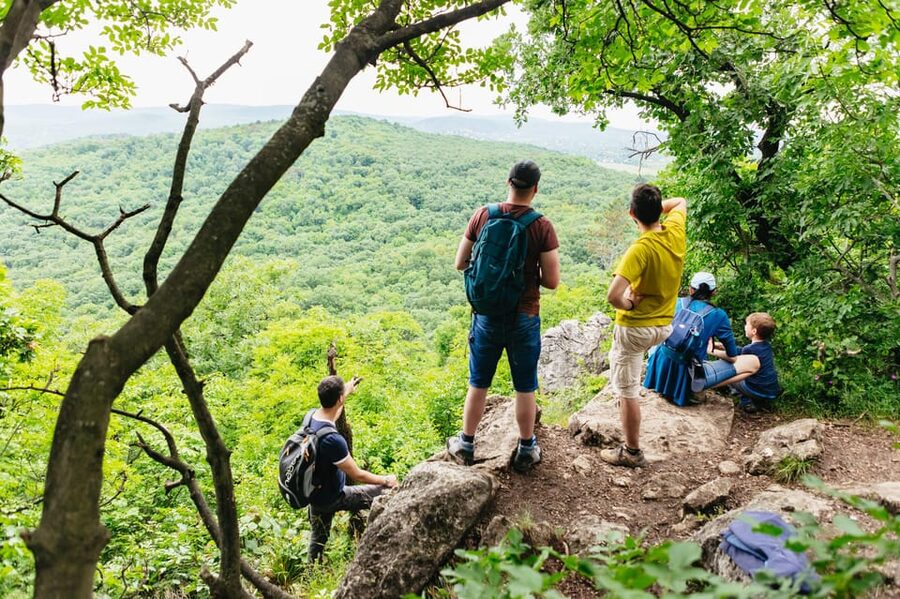 Budapest: Buda Hills Guided Hiking Tour with Optional Lunch - Meeting in central Budapest and taking the bus uphill
