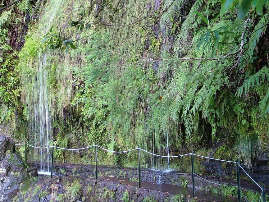 Caldeirão Verde: Levada Caldeirao Verde Hiking Transfer - Returning to Queimadas and the meeting point