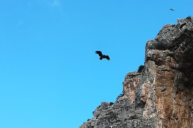 Caminito del Rey Trekking Walkway - Food, water, and clothing