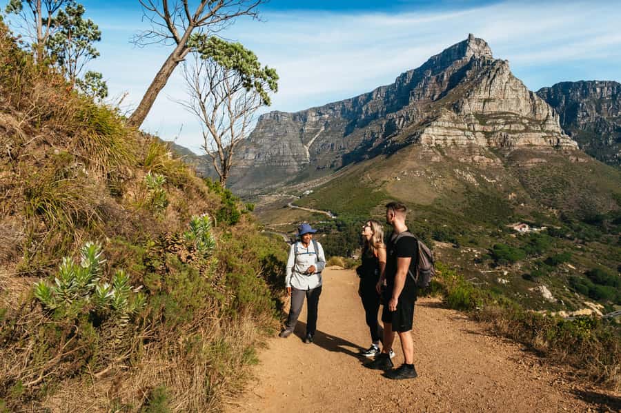 Cape Town: Guided Lion's Head Hike at Sunrise or Sunset - Reaching the summit and the main views