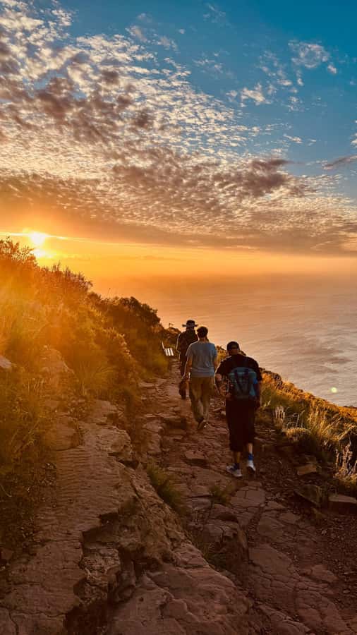 Cape Town: Lion's Head Sunrise or Sunset Guided Hike - Should you book Lion’s Head with Widevision Travel?