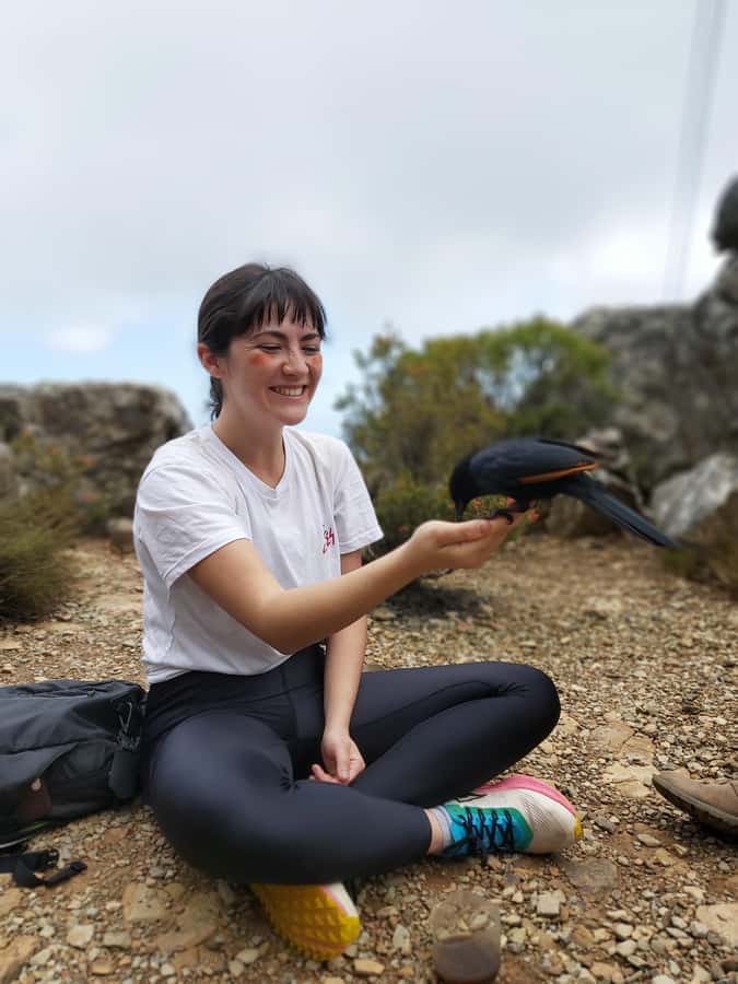 Cape Town: Table Mountain Hike with an Expert Guide - The climb: steady pacing, scrambling, and useful stops