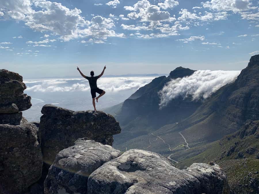 Cape Town: Table Mountain Hike with an Expert Guide - Fynbos, rock hyraxes, birds, and the Cape Floral Kingdom
