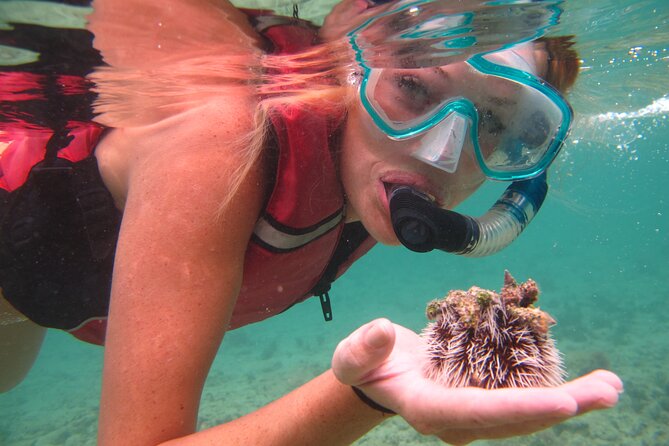 Cas Cay - Kayak Hike and Snorkel Adventure - Who should book this Cas Cay adventure?