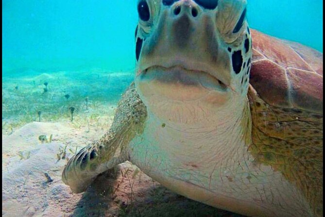 Cas Cay - Kayak Hike and Snorkel Adventure - Should you book it?