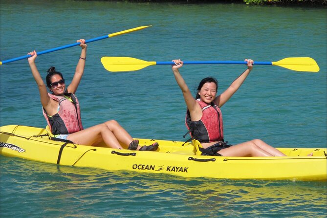 Cas Cay - Kayak Hike and Snorkel Adventure - Snorkeling in the mangrove nursery