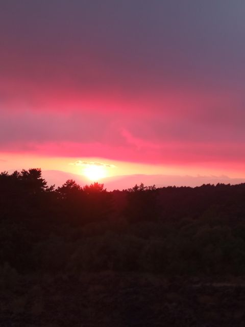Catania: Mount Etna Sunset Trekking with Wine Tasting - Who should book this Etna outing