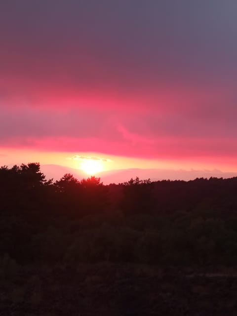 Catania: Mount Etna Sunset Trekking with Wine Tasting - Should you book it?