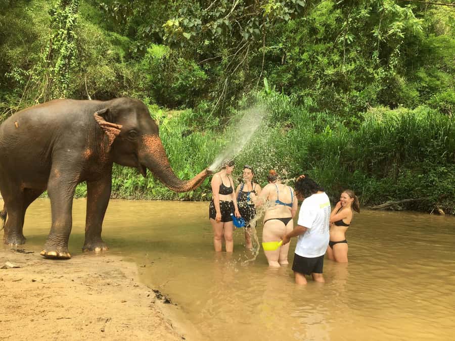 Chiang Mai: 2-Day Jungle Trek with Elephant Farm & Raft Ride - From Chiang Mai’s old town to the morning market