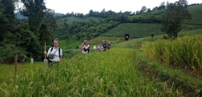 Chiang Mai: 2-Day Jungle Trek with Elephant Farm & Raft Ride