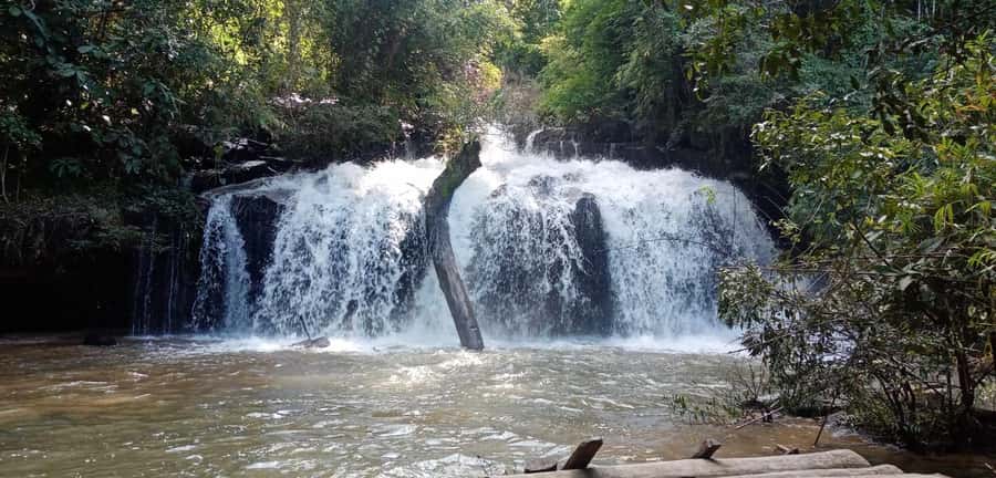Chiang Mai: 2-Day Jungle Trek with Elephant Farm & Raft Ride - One night in a Karen Hill Tribe village