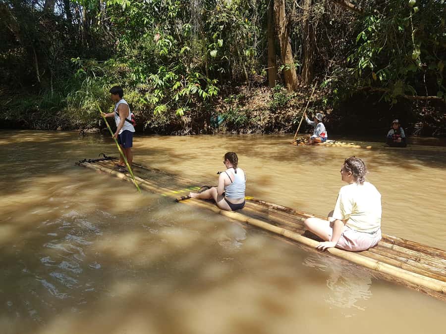 Chiang Mai: 2-Day Jungle Trek with Elephant Farm & Raft Ride - Day two: breakfast, forest paths, and elephants