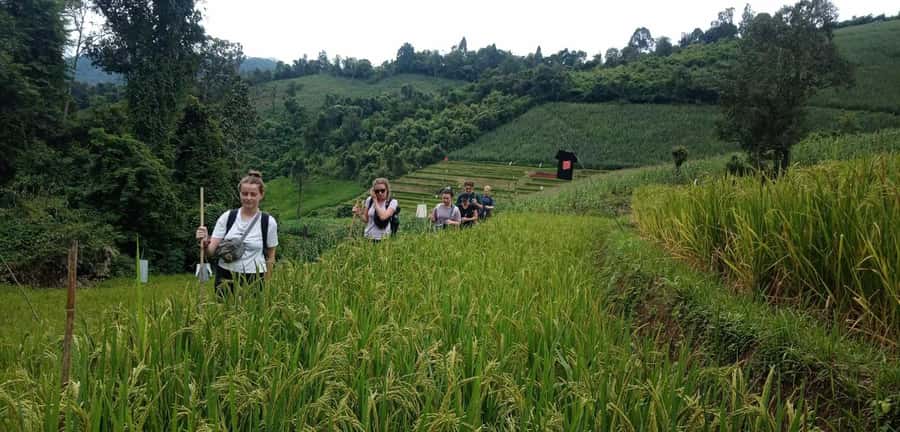 Chiang Mai: 2-Day Jungle Trek with Elephant Farm & Raft Ride - Bamboo rafting on the Mae Wang River