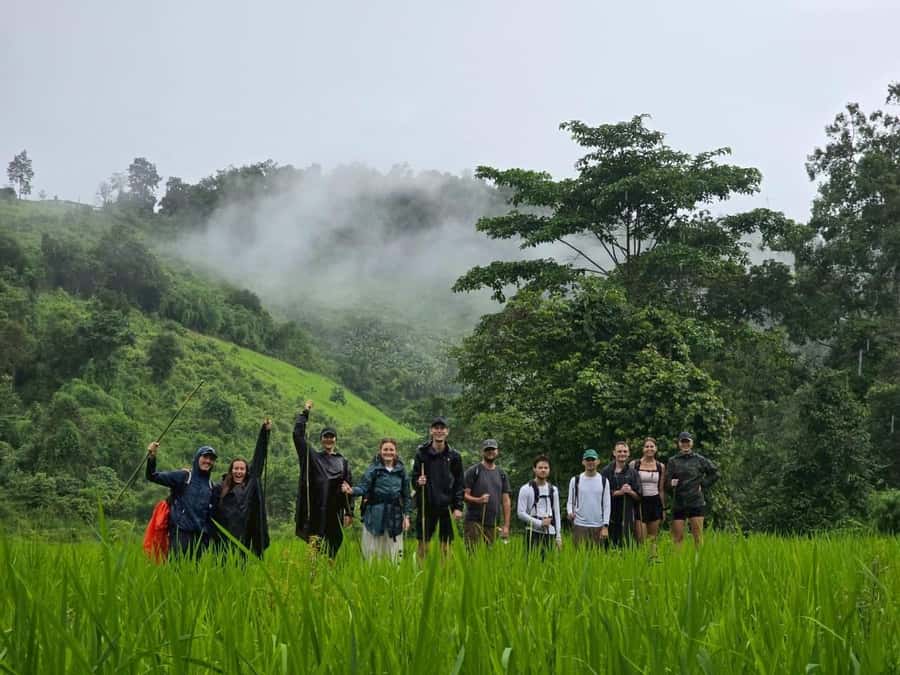 Chiang Mai: 2-Days Jungle Trek, Waterfalls and Karen Village - Mae Wang jungle, wildlife, and the second waterfall