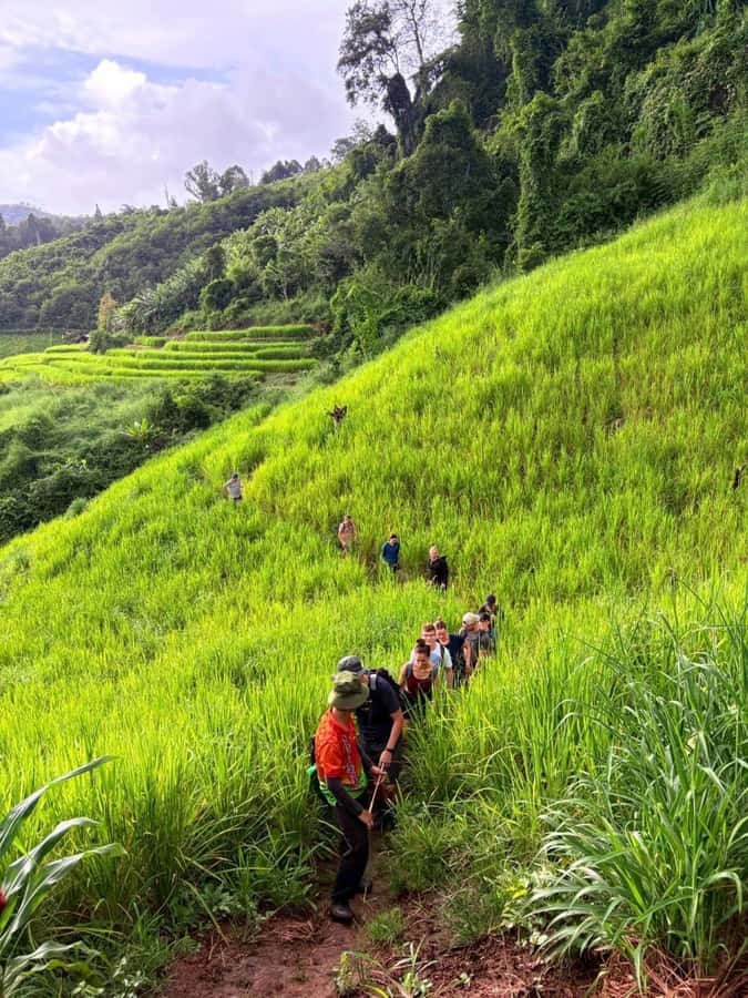 Chiang Mai: 2-Days Jungle Trek, Waterfalls and Karen Village - Who should book this trek?