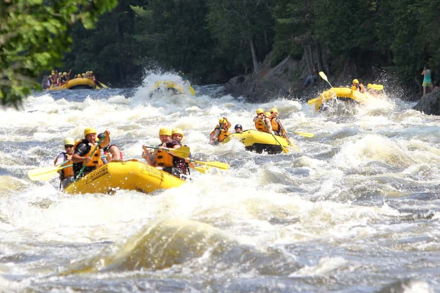 Chiang Mai ATV & White Water Rafting & Trekking to Waterfall - The jungle trek and waterfall route