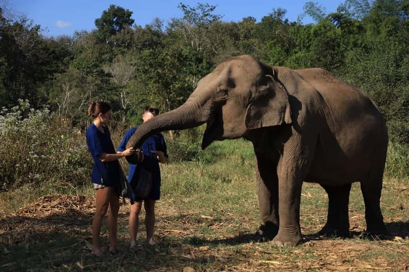 Chiang Mai: Doi Inthanon Hiking & Elephant Sanctuary Program - Key points at a glance