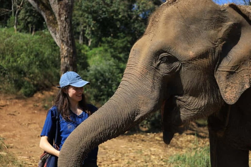 Chiang Mai: Doi Inthanon Hiking & Elephant Sanctuary Program - Why this Chiang Mai day trip works