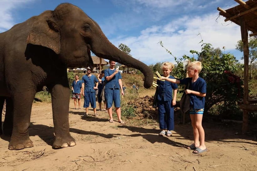 Chiang Mai: Doi Inthanon Hiking & Elephant Sanctuary Program - Meeting the elephants at Living Green