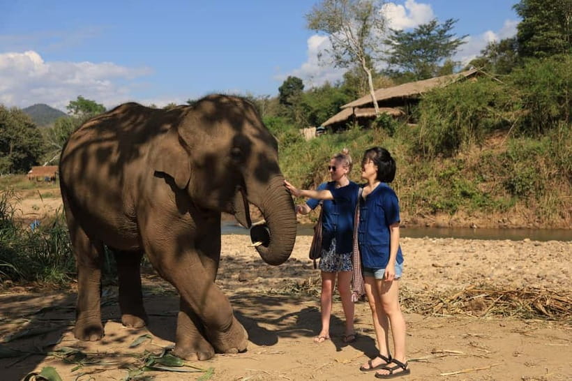 Chiang Mai: Doi Inthanon Hiking & Elephant Sanctuary Program - Pad Thai before the mountain