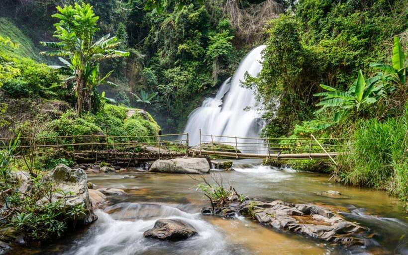Chiang Mai: Doi Inthanon National Park and Pha Dok Siew Trek - King and Queen Pagodas at 45 minutes