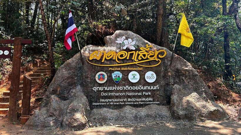 Chiang Mai: Doi Inthanon National Park and Pha Dok Siew Trek - The early café stop and climb into the park