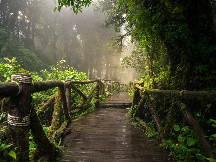 Chiang Mai: Doi Inthanon Park and Pha Dok Siew Trail Trek - Wachirathan Waterfall brings the drama