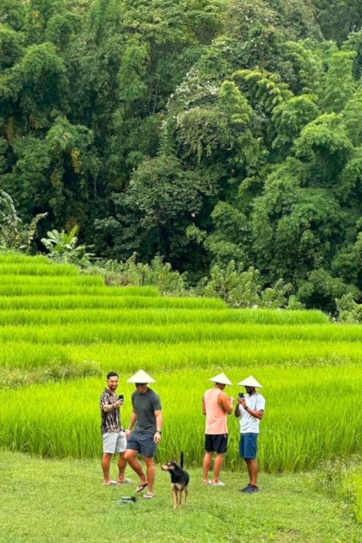 Chiang Mai: Doi Inthanon Park and Pha Dok Siew Trail Trek - Reaching the 2,565-meter summit