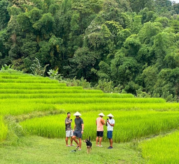 Chiang Mai: Doi Inthanon Park and Pha Dok Siew Trail Trek - The Hmong Market and mountain produce