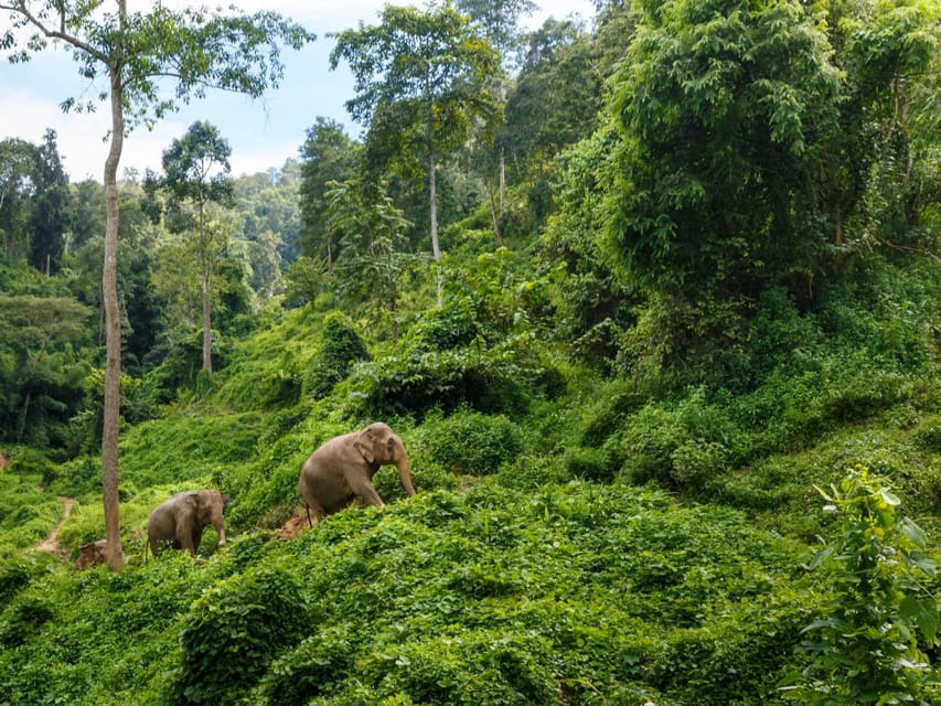 Chiang Mai: Doi Inthanon Park and Pha Dok Siew Trail Trek - Getting there in a small group