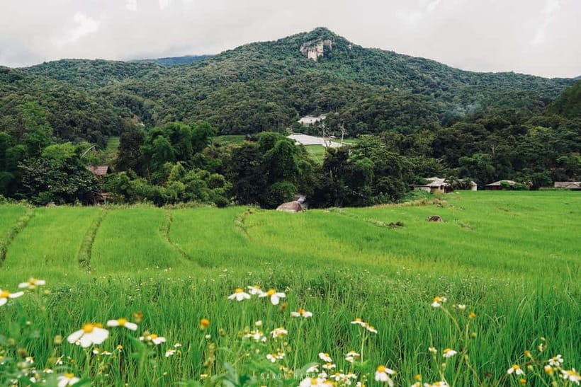 Chiang Mai: Doi Inthanon Trip with Pha Dok Siew Guided Trek - Which guide style suits you?