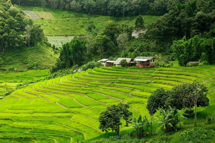Chiang Mai: Doi Inthanon Trip with Pha Dok Siew Guided Trek - Twin pagodas with the best open views