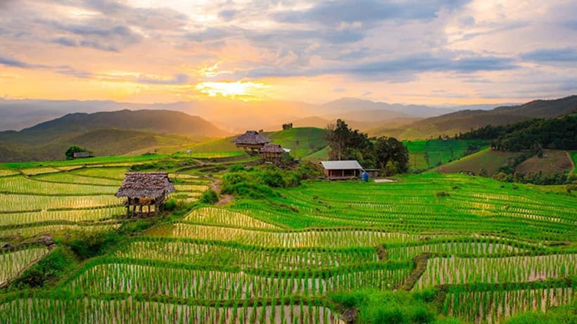 Chiang Mai: Doi Inthanon Trip with Pha Dok Siew Guided Trek - Rice fields, coffee, and the Karen village