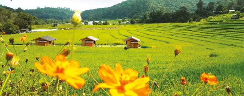 Chiang Mai: Doi Inthanon Trip with Pha Dok Siew Guided Trek - Wachirathan Waterfall and the limits of a short stop