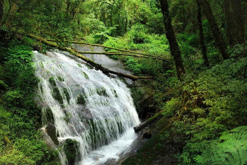 Chiang Mai: Doi Inthanon Trip with Pha Dok Siew Guided Trek - Weather, clothing, and walking ability