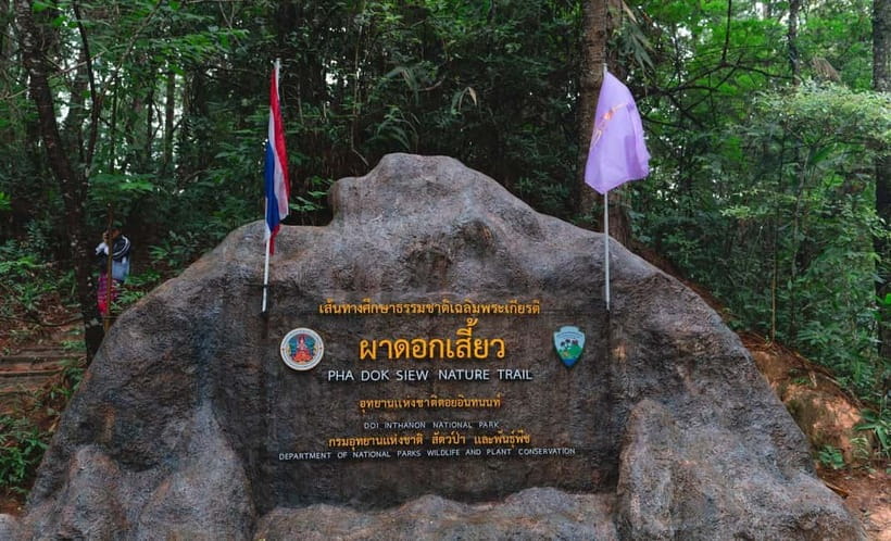 Chiang Mai: Doi Inthanon Trip with Pha Dok Siew Guided Trek - The highest point of Thailand, without the summit drama