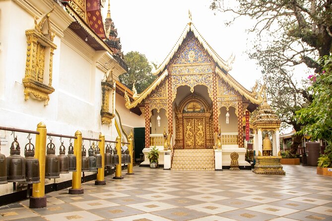 Chiang Mai - Doi Suthep Temple & Wat Pha Lat Hike - Choosing between sunrise, afternoon, and evening