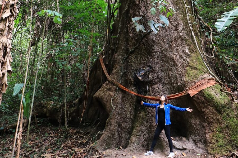 Chiang Mai: Gibbons, Trekking & Mae Kampong Small Group Tour - Key points to know before you book