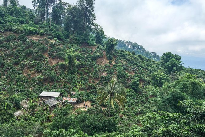 Chiang mai Hike & Downhill Bike Adventure –Suthep National Park - Fitness, weather, and route changes