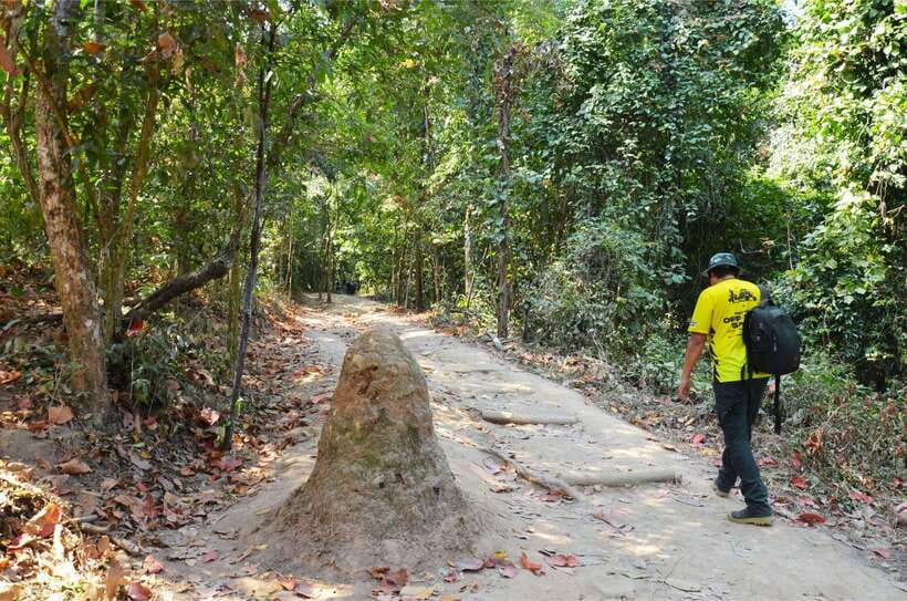 Chiang Mai: Hike on Monk’s Trail and Doi Suthep Private Tour - What the private format changes