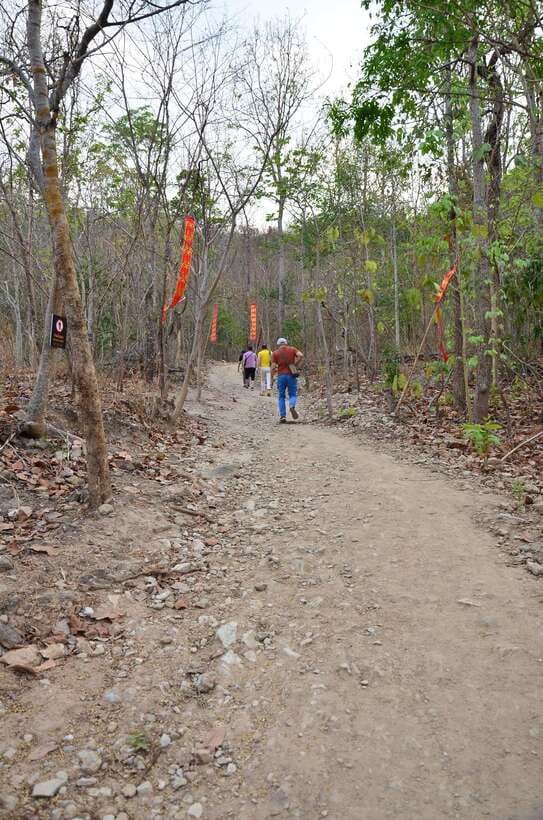 Chiang Mai: Hike on Monk’s Trail and Doi Suthep Private Tour - Pickup areas and the four-hour schedule