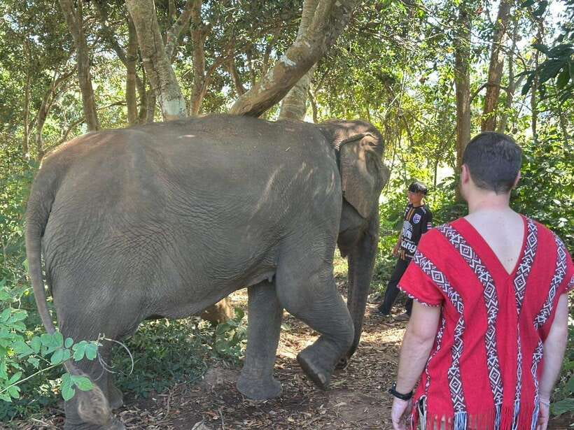 Chiang Mai Untouched Elephant: Nature Walk & Waterfall Trek - The ride from Chiang Mai to the village