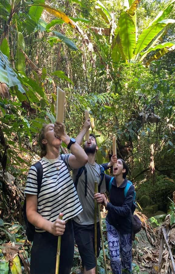 Chiang Rai: 1-Day Trekking and Longtail Boat Trip - Walking to Huay Kaew Waterfall