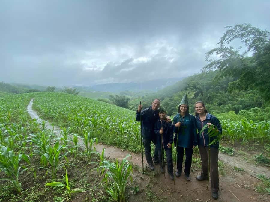 Chiang Rai: 1-Day Trekking and Longtail Boat Trip - Who should book this day trip?