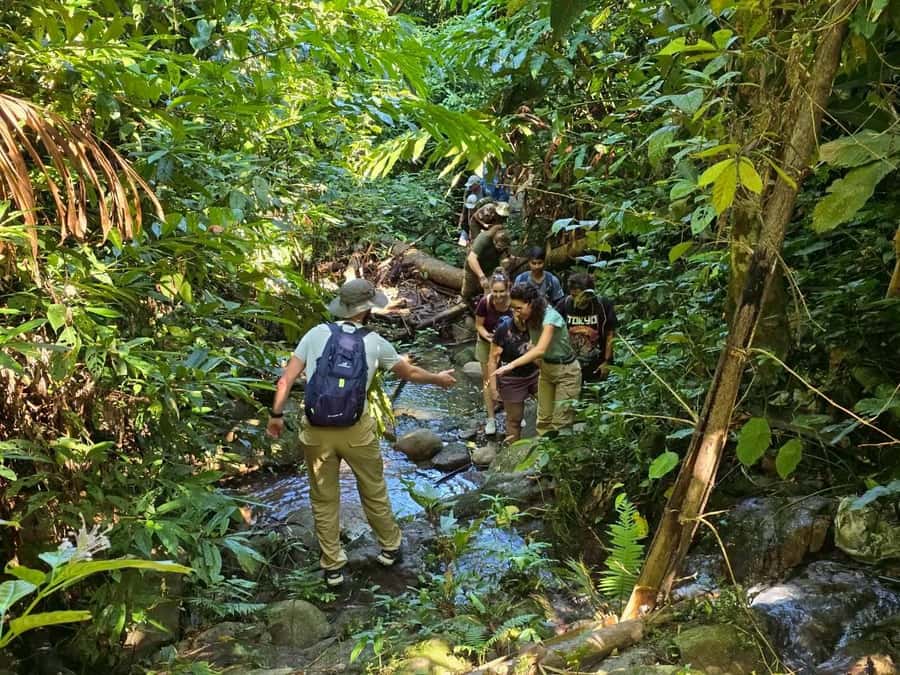 Chiang Rai: Jungle Adventure-Group Trekking & Bamboo Cooking - A full day beyond Chiang Rai’s temples