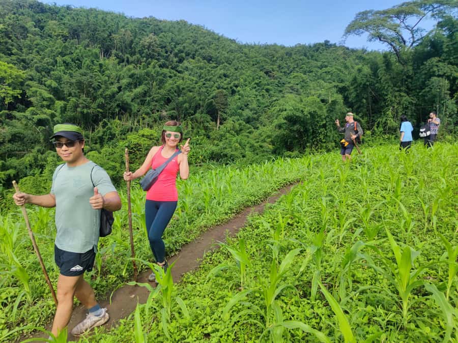 Chiang Rai: Jungle Adventure-Group Trekking & Bamboo Cooking - Hot springs at the end of the day