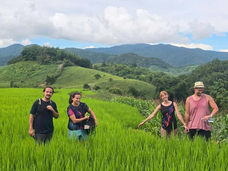 Chiang Rai: Jungle Adventure-Group Trekking & Bamboo Cooking - How difficult is the 10 to 12 kilometer route?
