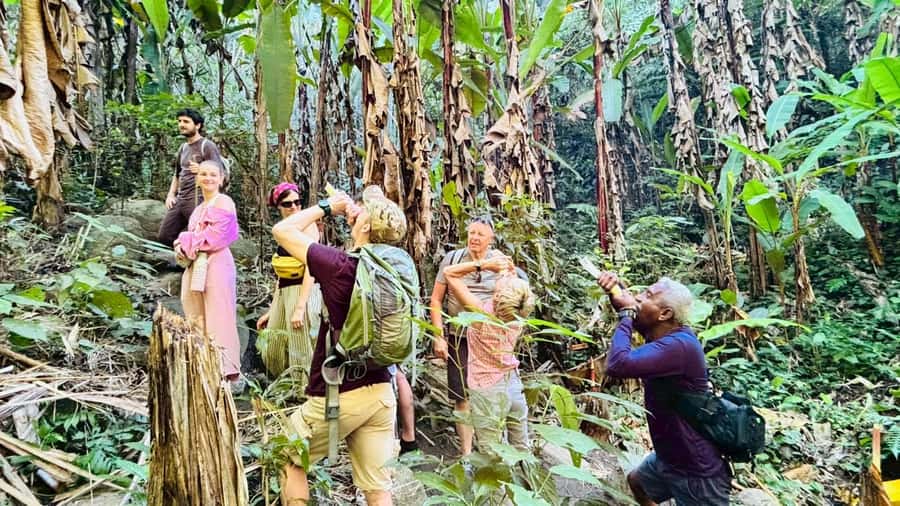 Chiang Rai: Jungle Adventure-Group Trekking & Bamboo Cooking - Is the $80 price fair?